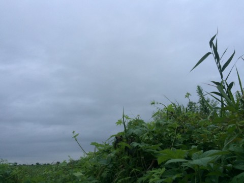 o5e6pj47g6edunxawt2f_480_480-ab08f2be.jpg