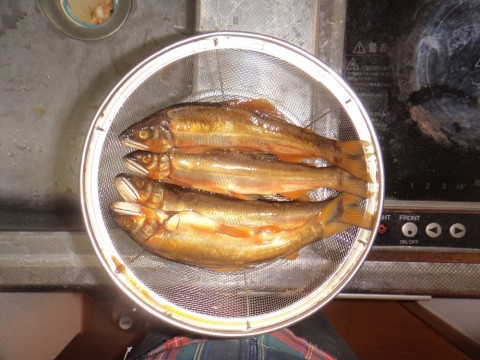 o6sbm5n2rsozmjjxdeah_480_480-b3637f3c.jpg