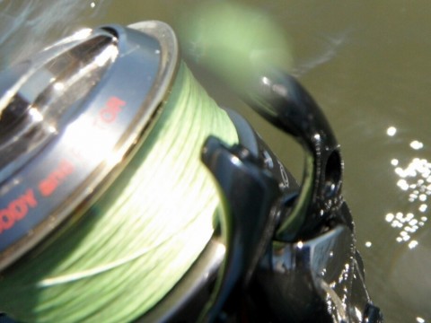 o6wumbrcof8rrc53yd7o_920_690-02b8363a.jpg