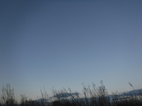 o79n6m379ce4pvzkkh7o_480_480-8c19bf7a.jpg