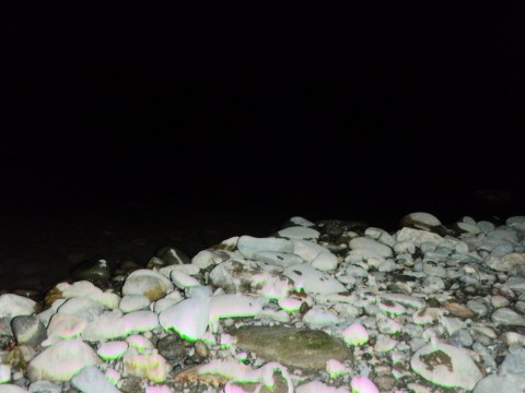 o79x27ipddcv6hb5mn4u_480_480-d5453f97.jpg