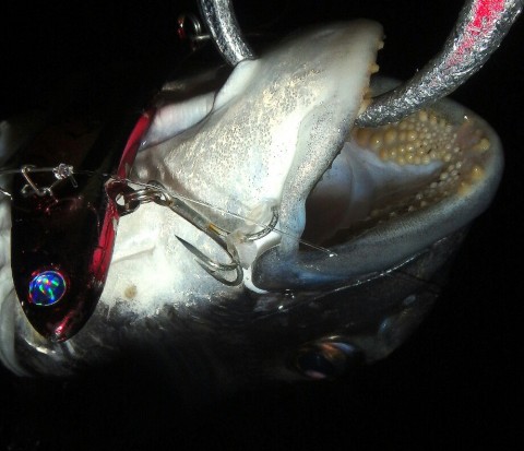 o7crup7beajkwhdamcc8_920_792-83d68fea.jpg