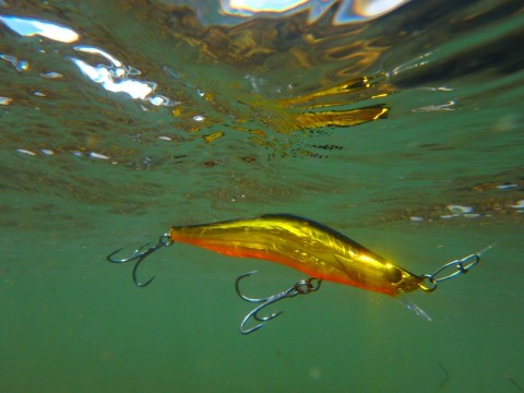 o7mtb67bnkzrd24mmpyv_480_480-349041c7.jpg