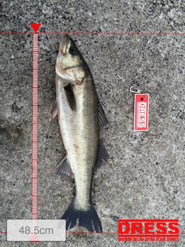 o8559tsbisrvw3jeidwp_690_920-e6c9051e.jpg