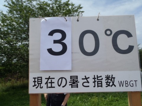 o86k38bfjztyk5fjpyy5_480_480-faf31ee6.jpg