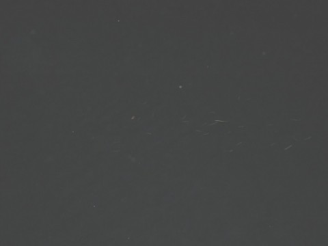 o89ospi4k9hyhir2ik8t_480_480-5bb8d3c8.jpg