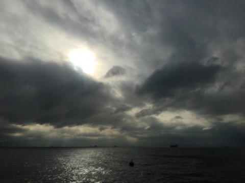 o8ae3owkg44xtmpy8akr_480_480-04ad25e9.jpg