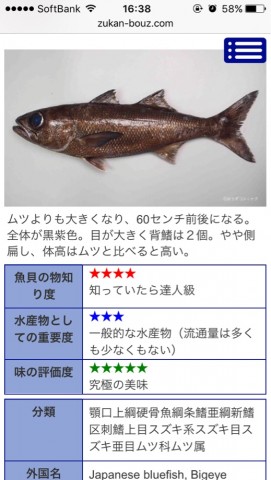 o8afe99prk4j6mjx5hoi_519_920-1ccee10b.jpg