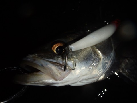 o8cvyunpxa7p6dwyaxhh_920_690-24557175.jpg