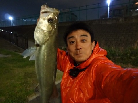 o8isuyu5h42acpvja4hi_480_480-8859edf7.jpg