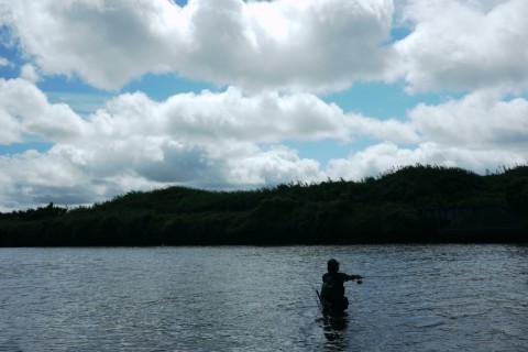 o8u2YATrW2Je7YnxwyLx_480_480-b201340a.jpg