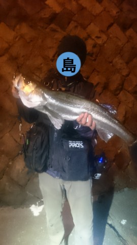 o9disn225ngmn8ky9vbj_480_480-28e18bd2.jpg