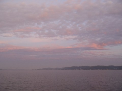 o9str92wokjr66dk2vyn_480_480-a8c9ebea.jpg