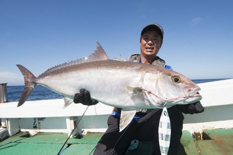 o9t27f3byxokyue5awpj_480_480-8137f5e8.jpg