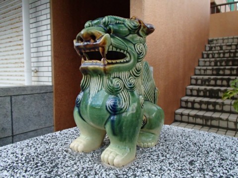oa37naabdwfkbtkzhjvc_480_480-b3462493.jpg