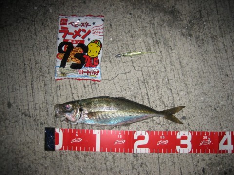 oa79bacsf98rn9kg8w8w_480_480-f0668dc0.jpg