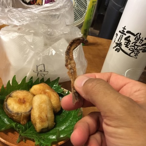 oadijyvwsa2f89t7p2d7_920_920-f9d66350.jpg