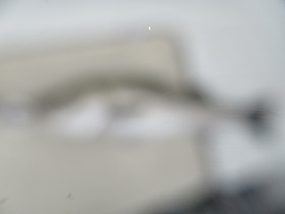 oadjbthwp6com7pcpxeb-9810317b.jpg