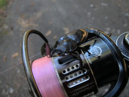 oajmh3xfhse9nzynhrbz-c64d7d97.jpg