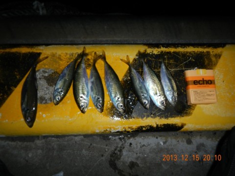 oamry77r25ajn3mzb9sj_480_480-95239853.jpg
