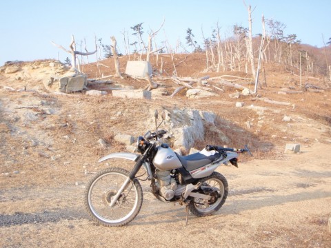 oanupxcm7agfb9r42e57_480_480-127f0528.jpg