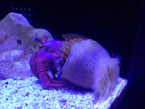 oaobs2w9mzcarchdagyo_920_690-86d7701b.jpg
