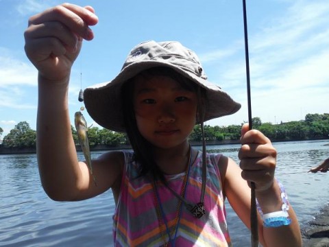 oatan83nkr3yjh79ei8b_480_480-98120102.jpg