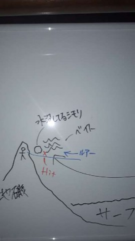 ob9aj23n88ce4wihumw6_480_480-9bd8b551.jpg