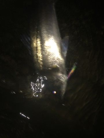 ob9dbhxj3gr44zpyujgs_690_920-7f43f15d.jpg