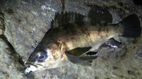obaoga9m52zd8cmkrmao_920_518-ac1038c9.jpg