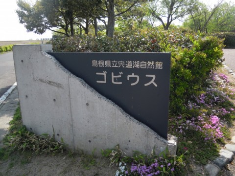 obg979tprx8ydbfg7mb8_480_480-0d9db3c1.jpg