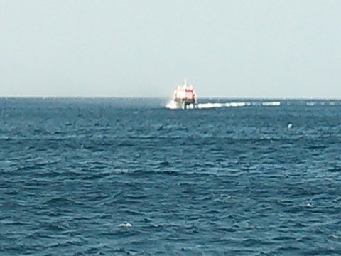 obgju3tfrkopeebjajkm_480_480-1407d9d8.jpg
