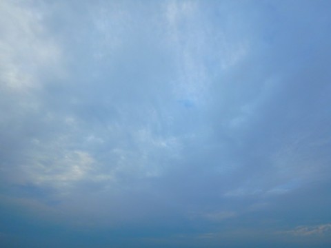 obhvoahgo3jwxdxed9id_480_480-089a2d29.jpg