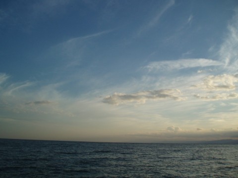 obzdxw2u43io84k6hmb6_480_480-6eaba155.jpg