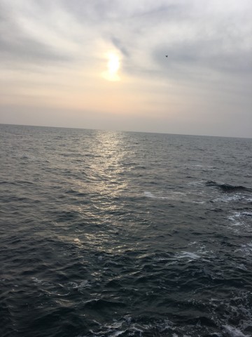 oc7g77myt2c3reghkbui_690_920-951d22ff.jpg