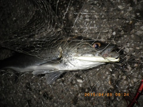 oc8xorj6rb4pt7bz35ho_480_480-17622345.jpg