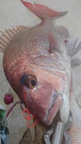 oceuagppdrzrebojbv7x_518_920-1ba8fa15.jpg