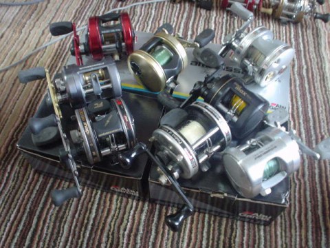 ocfwezgiaygk5obtbhdt_480_480-225d646a.jpg