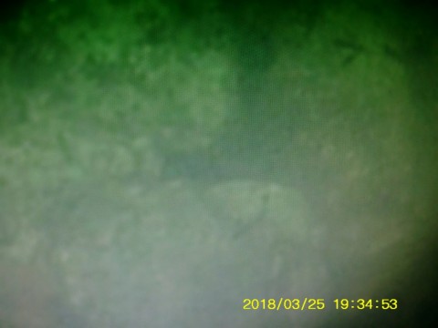 ocn5vy2s6krghp7wdxxx_480_480-9a6c93a9.jpg