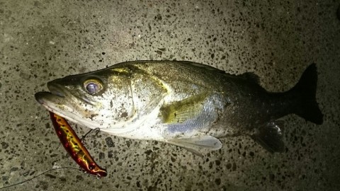 ocynepkzf63yttznpbgx_920_518-5d56079f.jpg