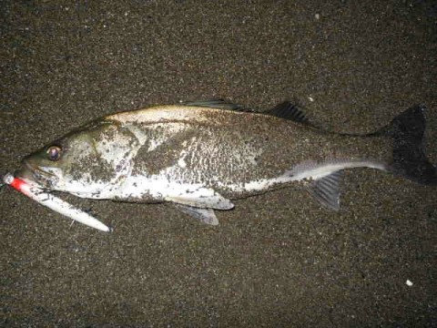 od4txt972sppcvxhnwpo_640_480-c061990a.jpg