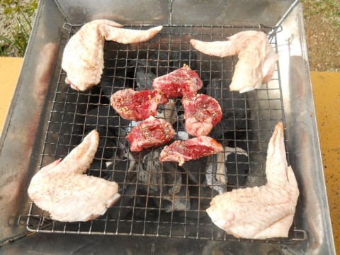 od64vrpazpadnx4yueoh_480_480-64c1c6d3.jpg