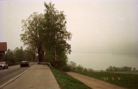 od8rx87p8ji9ibz2yivx_480_480-2f4a0521.jpg