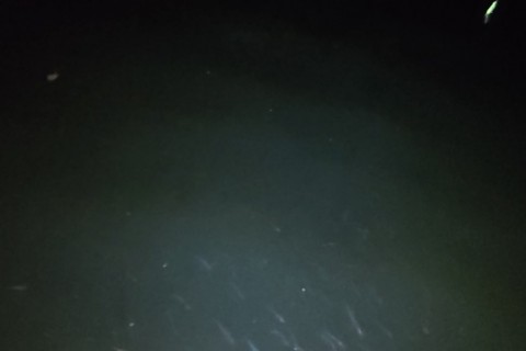 odby74dax77zktba6kgv_480_480-df2e57df.jpg