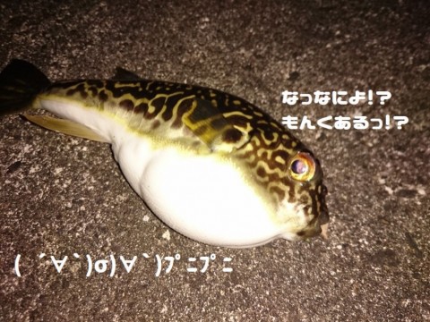 odducoajnd72hnmx68w5_480_480-67b71457.jpg