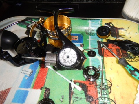 odhacadezgfzjcm74rc4_480_480-5a10ff70.jpg