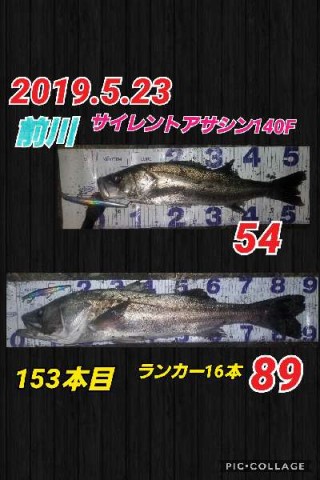 odiz4ittas9fk39xnfwu_480_480-df07b7ce.jpg