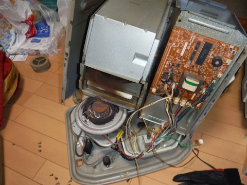 odn2te5py526n42a56mf_480_480-8f08a6de.jpg