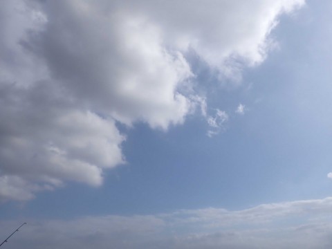 odops6z2dpwntpa5n38r_480_480-1094bb69.jpg