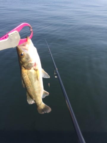 odow9ciryd3ypuog3y29_690_920-643dd66d.jpg